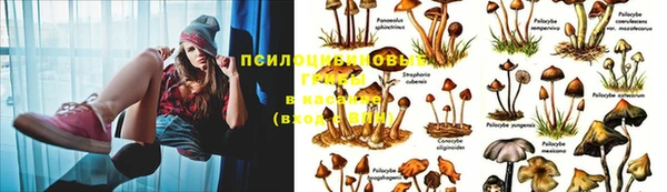первитин Аркадак